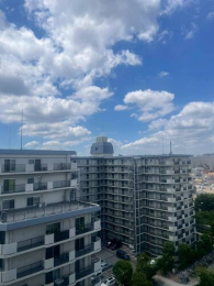 �Z�˂���̒��]�ʐ^�@-