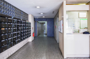 �G���g�����X�@-