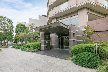 �G���g�����X�@-