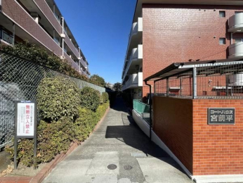 �G���g�����X�@-