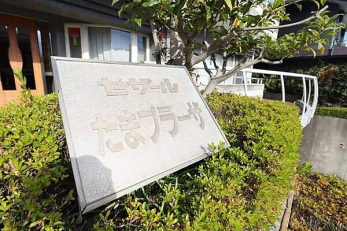 �G���g�����X�@-