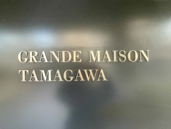 �G���g�����X�@-