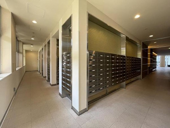 ���̑����p���@���[���{�b�N�X