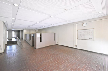 �G���g�����X�@-