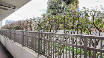 �Z�˂���̒��]�ʐ^�@-