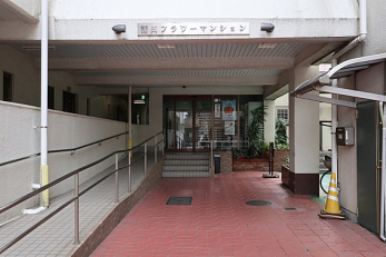 �G���g�����X�@-