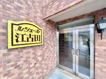 �G���g�����X�@-