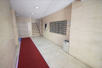 ���̑����p���@-