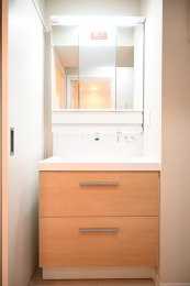 ���ʑ�E���ʏ��@-