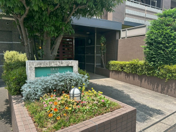 �G���g�����X�@-