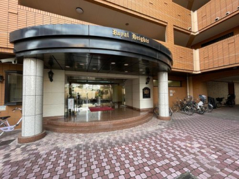 �G���g�����X�@-