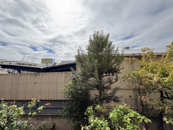 �Z�˂���̒��]�ʐ^�@-