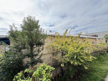 �Z�˂���̒��]�ʐ^�@-