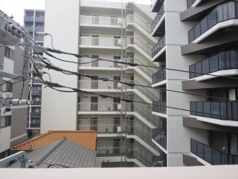 �Z�˂���̒��]�ʐ^�@-