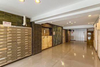 ���̑����p���@���[���{�b�N�X�E�G���x�[�^�[