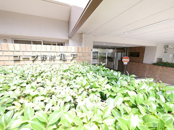 �G���g�����X�@-