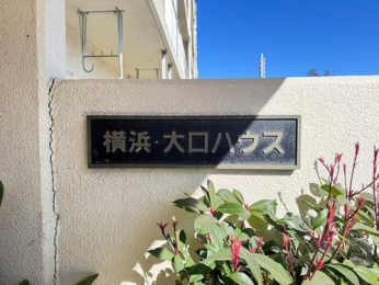 �G���g�����X�@-