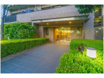 �G���g�����X�@-