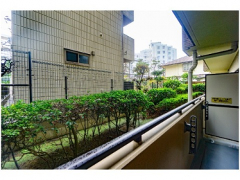 �o���R�j�[�@-