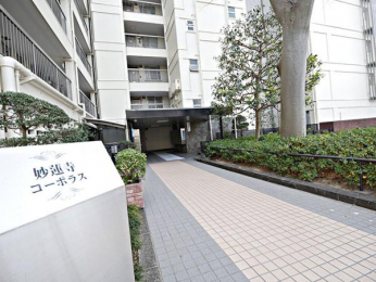 �G���g�����X�@-