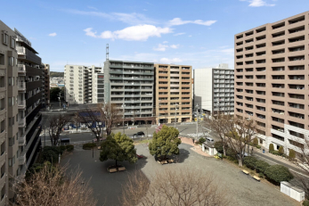 �Z�˂���̒��]�ʐ^�@-