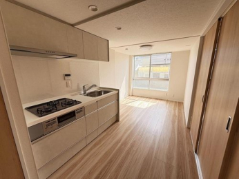 ���r���O�ȊO�̋����@-