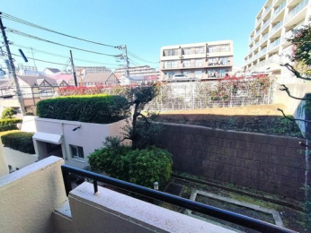 �Z�˂���̒��]�ʐ^�@-