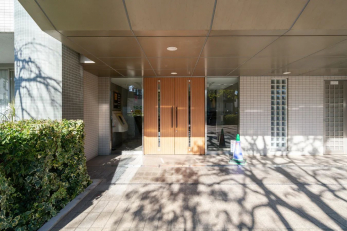 �G���g�����X�@-