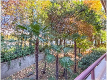 �Z�˂���̒��]�ʐ^�@-